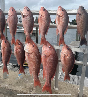 Life’s better when fishing Snapper In PCB